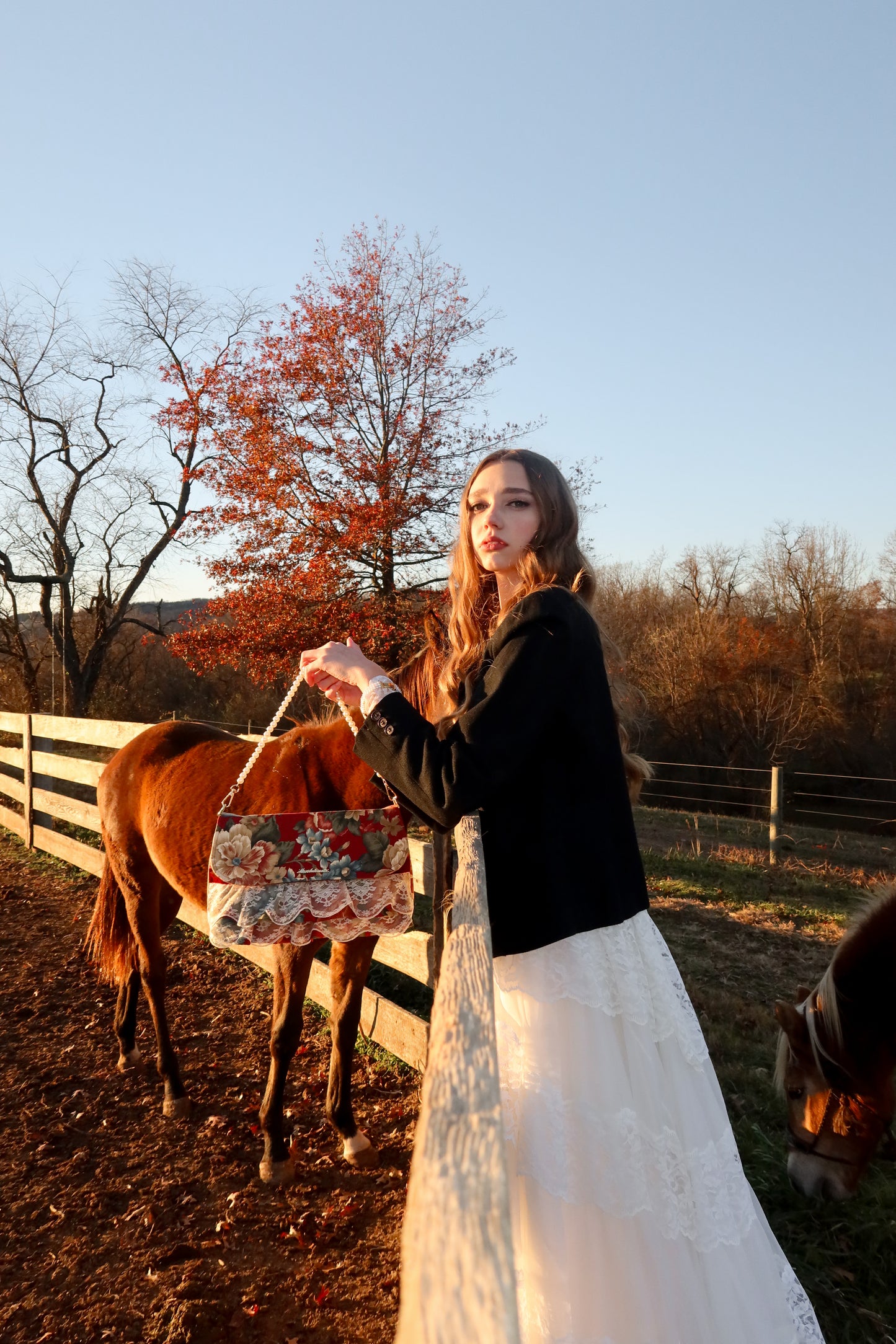 The Western Rococo Bag